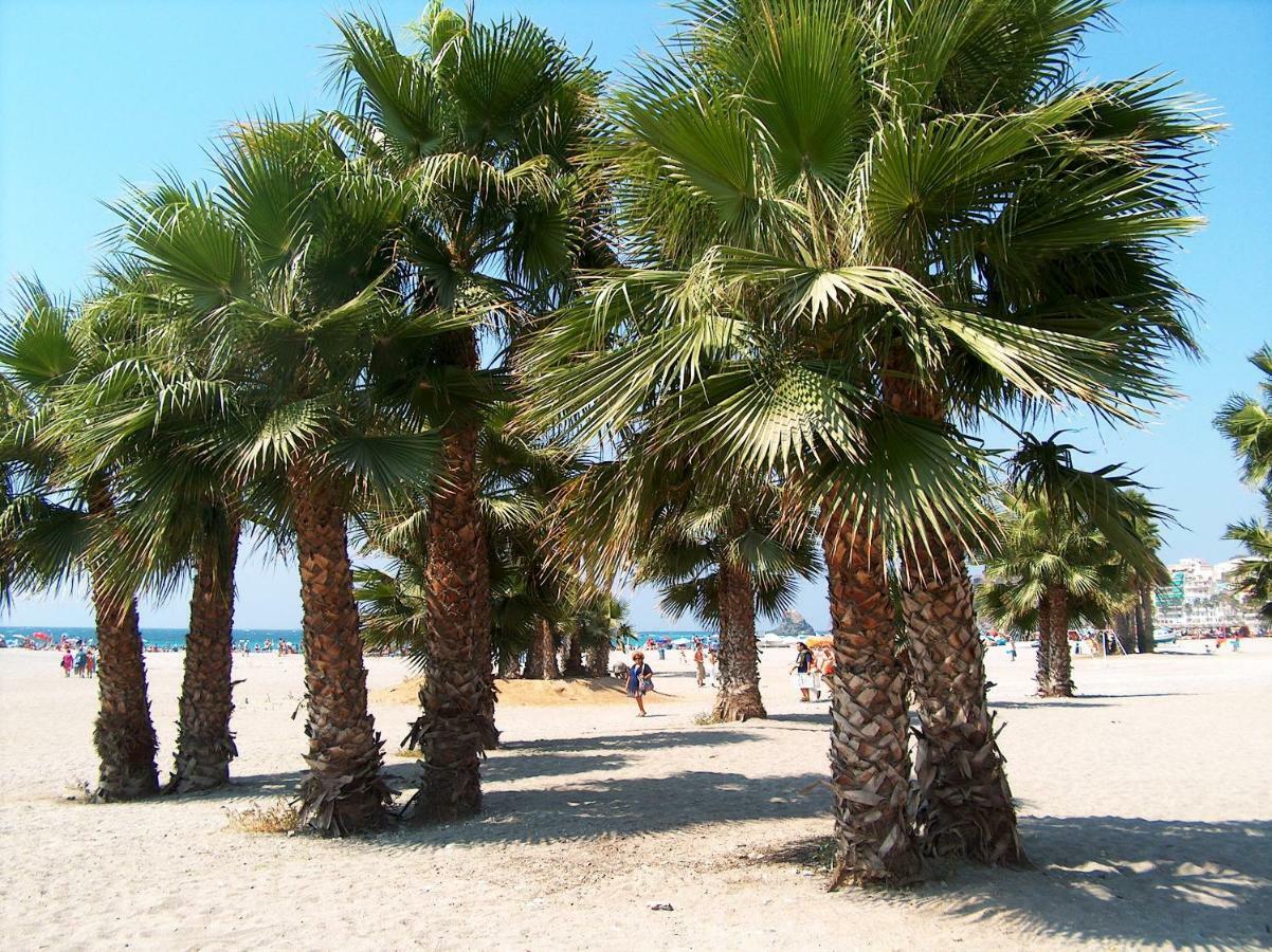 Central Almunecar, Beach Playa 125 Metres, By Old Town エクステリア 写真